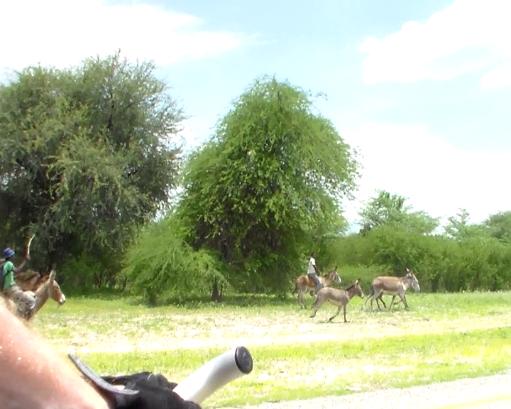 Even donkeys are faster than the bicycle...